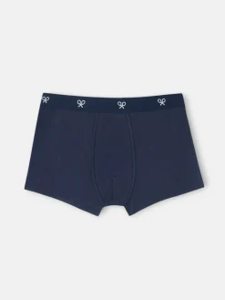 Boxer liso marino
