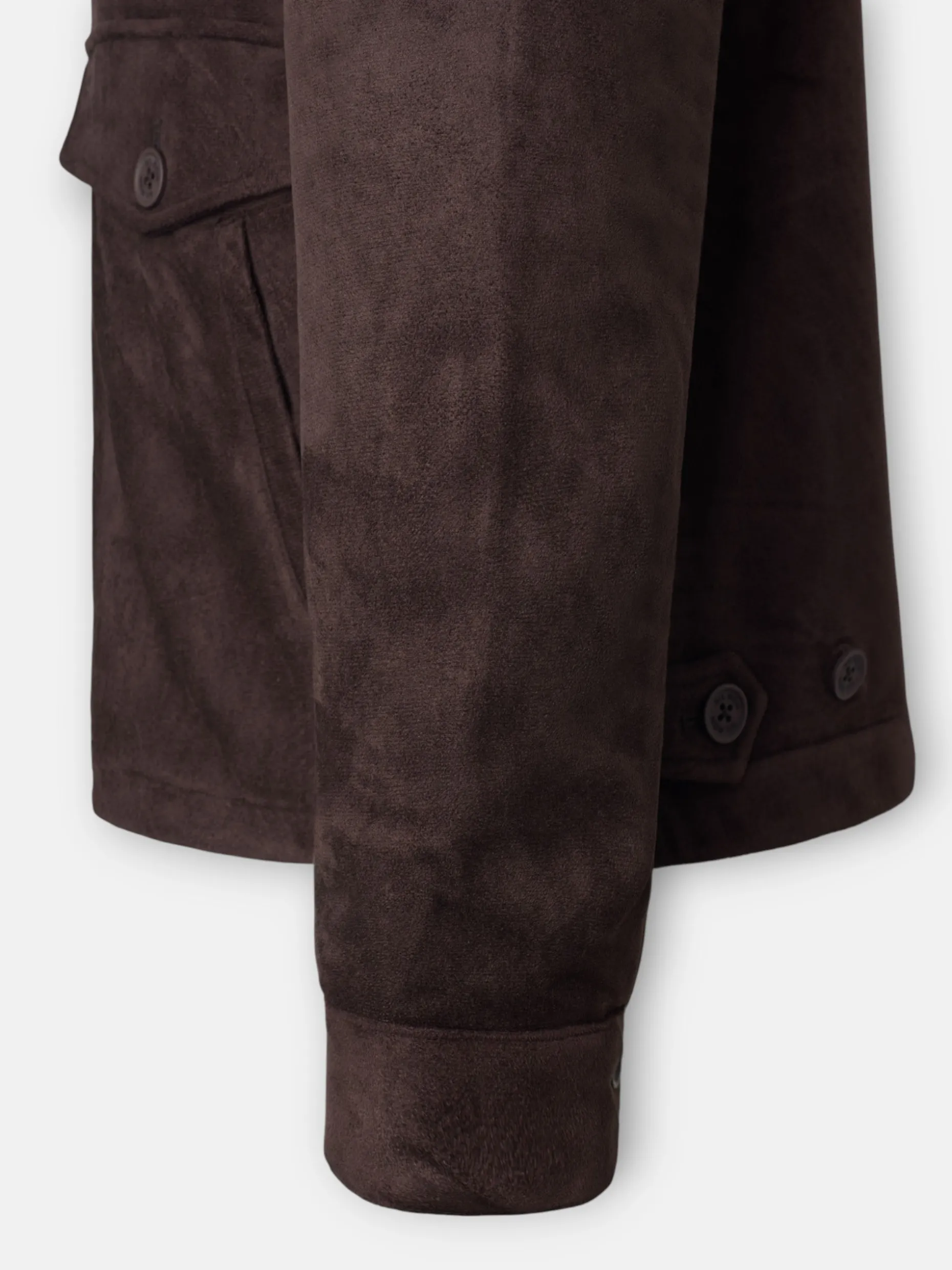 Cazadora ante marron