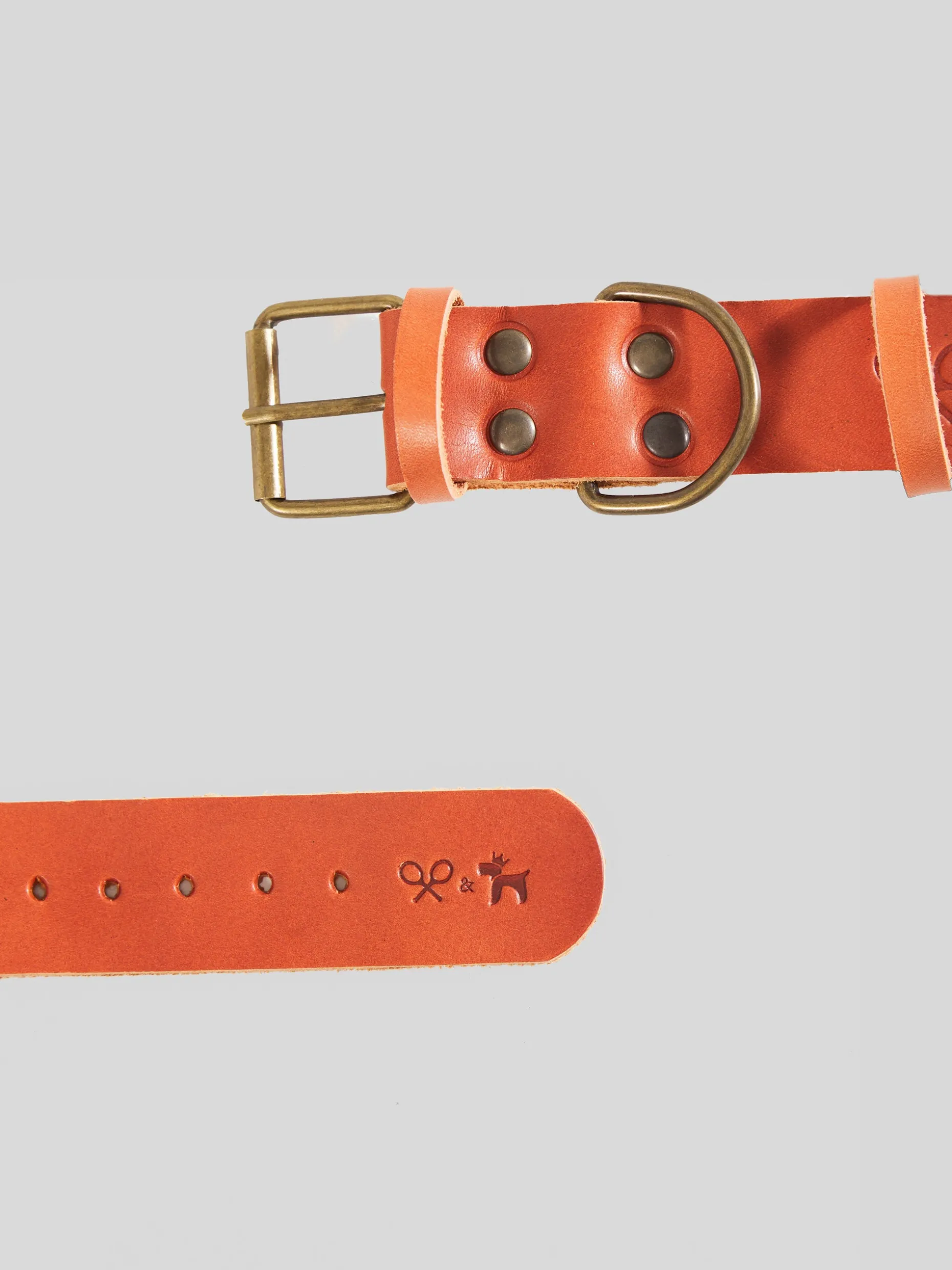 Collar perro SILBONxLADRANGAUCHO cuero