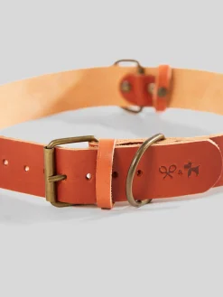 Collar perro SILBONxLADRANGAUCHO cuero