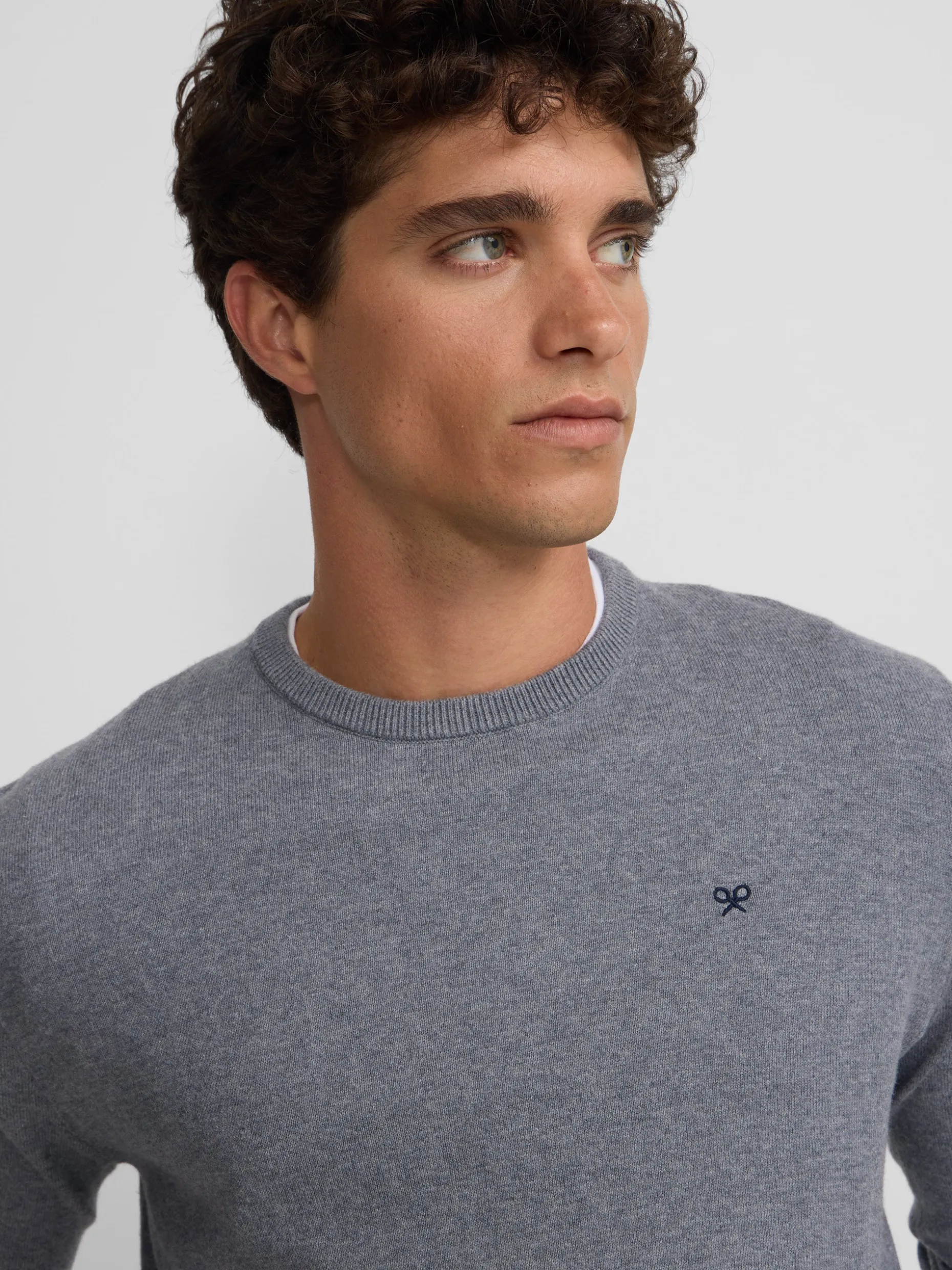 Jersey classic cuello redondo gris