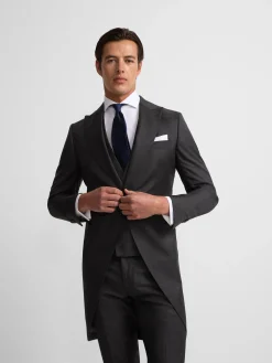 Levita chaque principe de gales gris