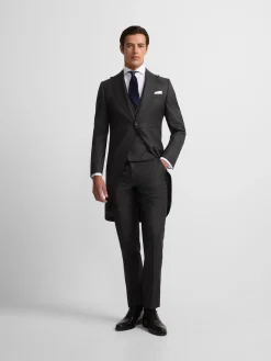 Levita chaque principe de gales gris