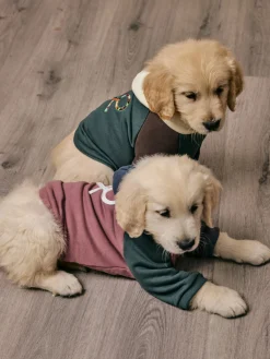 Sudadera mascotas hoodie multicolor burdeos