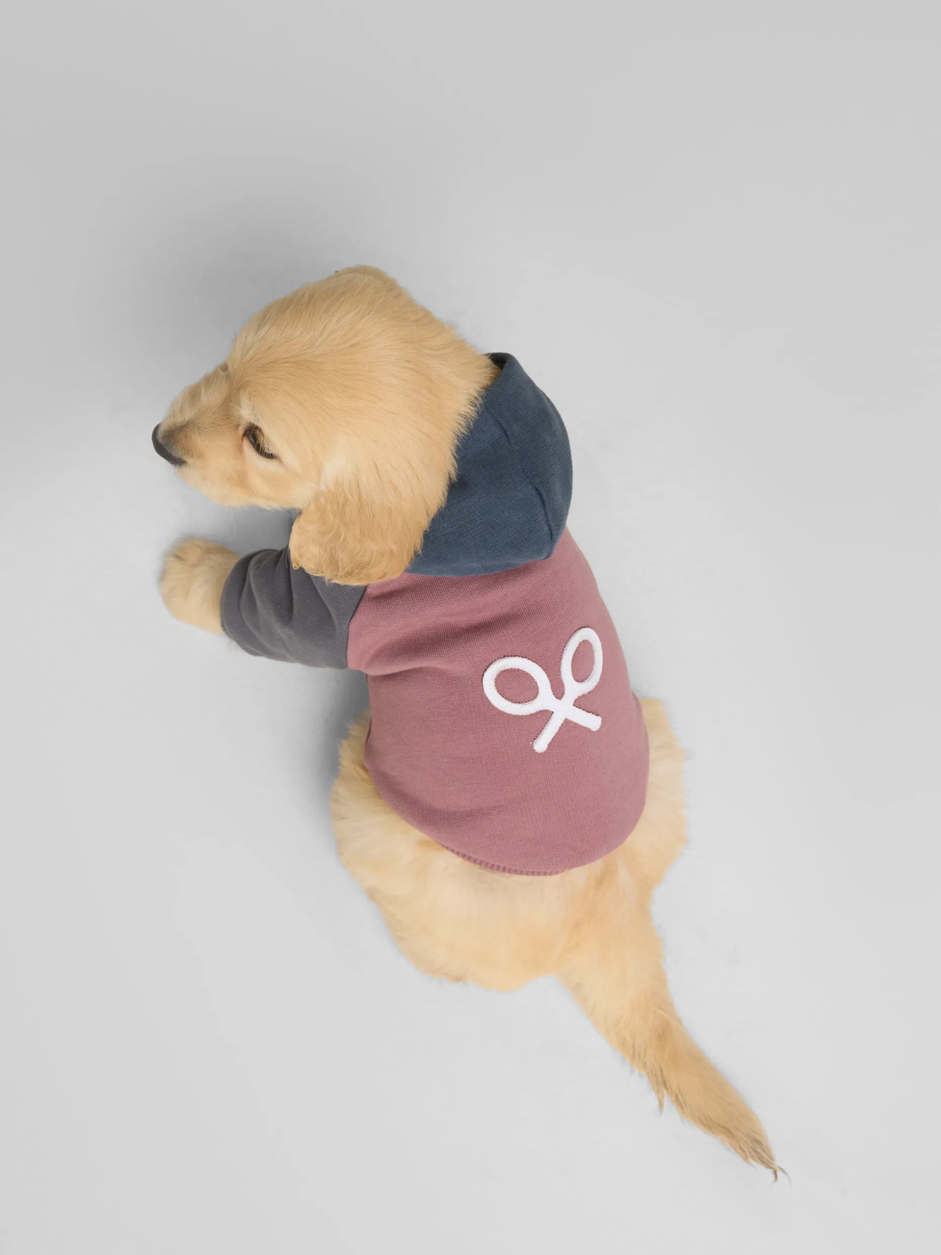 Sudadera mascotas hoodie multicolor burdeos