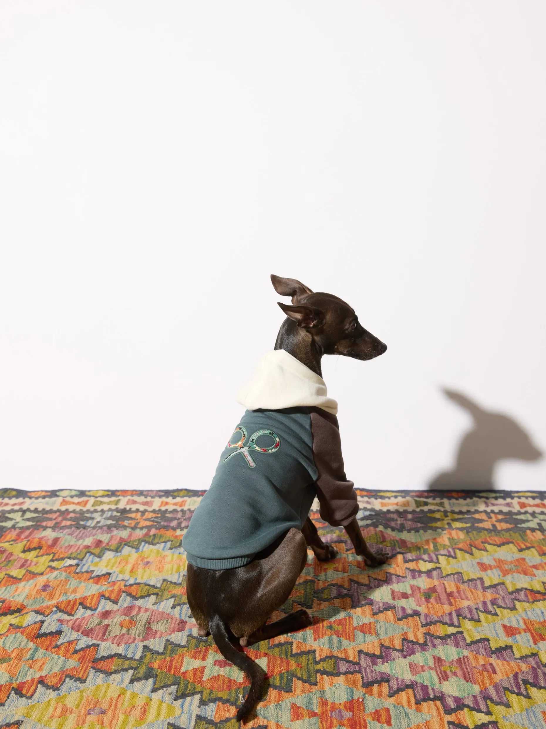 Sudadera mascotas hoodie multicolor verde