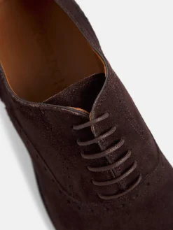 Zapato clasico ante perforado marron